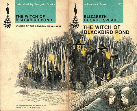 The Witch's Black Magic: Unraveling the Spells of Blackbit Pond